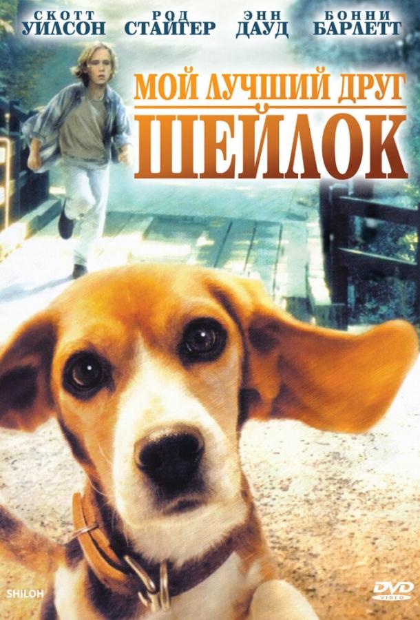 Постер к фильму "Мой лучший друг Шейлок" Постер к фильму "Мой лучший друг Шейлок"