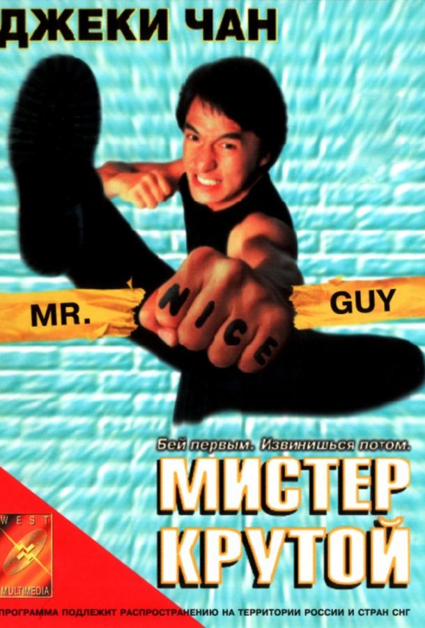 Постер к фильму "Мистер Крутой" Постер к фильму "Мистер Крутой"