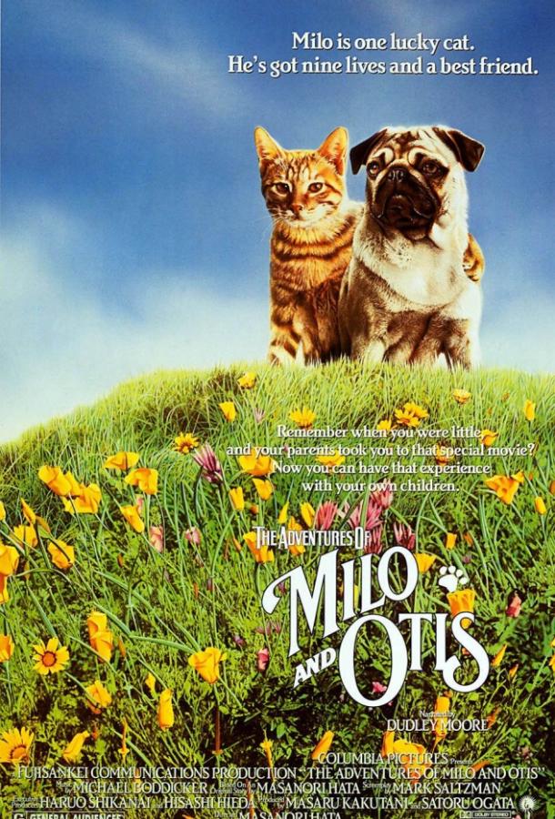 Постер к фильму "Приключения Майло и Отиса"