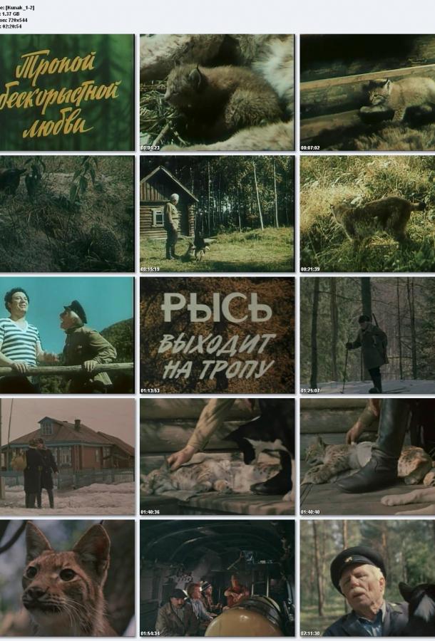 Постер к фильму "Тропой бескорыстной любви" Постер к фильму "Тропой бескорыстной любви"