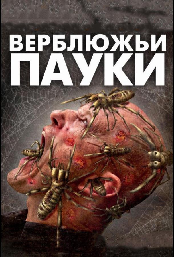 Постер к фильму "Верблюжьи пауки" Постер к фильму "Верблюжьи пауки"