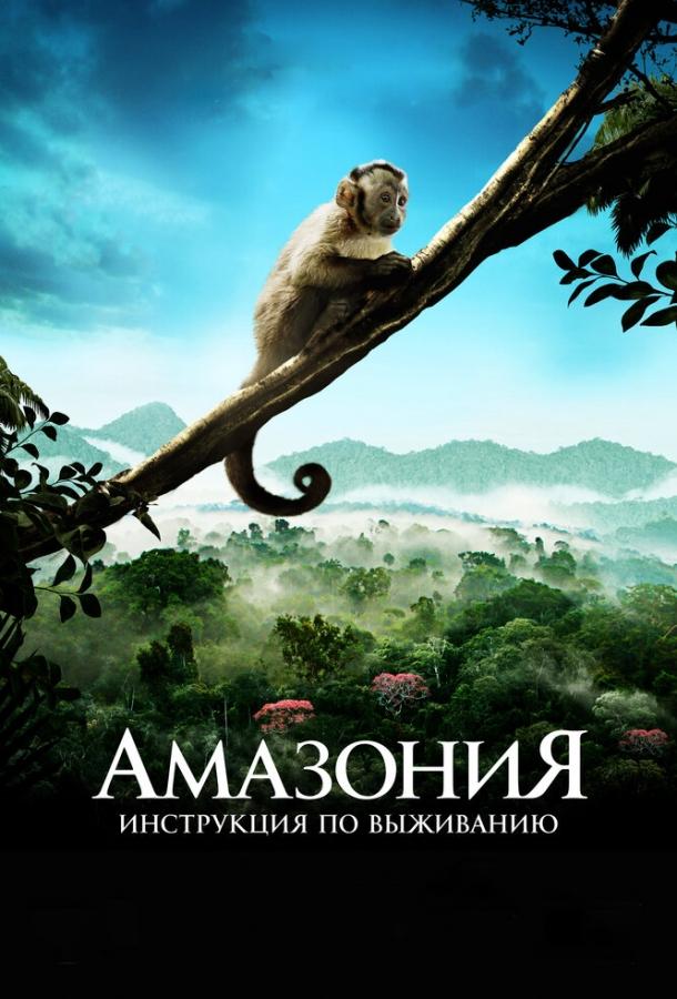 Постер к фильму "Амазония: Инструкция по выживанию" Постер к фильму "Амазония: Инструкция по выживанию"