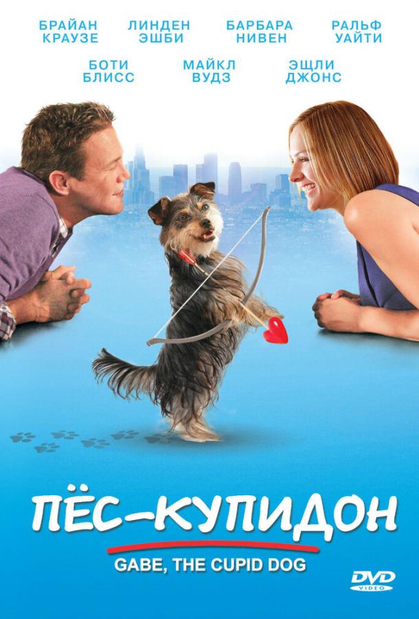 Постер к фильму "Пес-купидон" Постер к фильму "Пес-купидон"