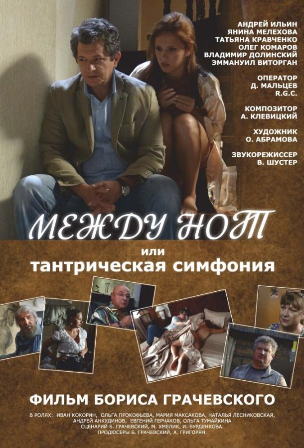 Постер к фильму "Между нот, или Тантрическая симфония"