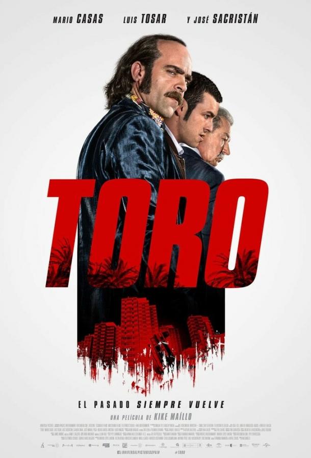 Постер к фильму "Торо"