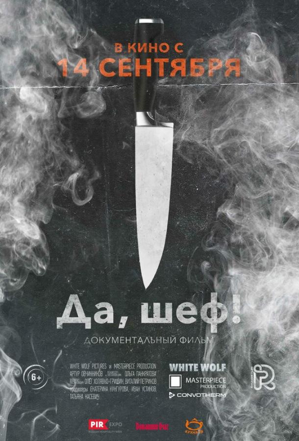 Постер к фильму "Да, шеф!" Постер к фильму "Да, шеф!"